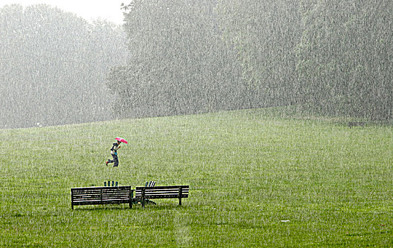 公园,走,雨,夏天,草地
