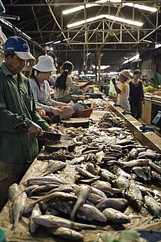 鱼市,收获,柬埔寨