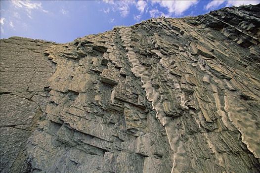 绿色,展示,石头,扭曲,层次,沉积岩,堆积,沿岸,高原,格罗莫讷国家公园,纽芬兰,加拿大