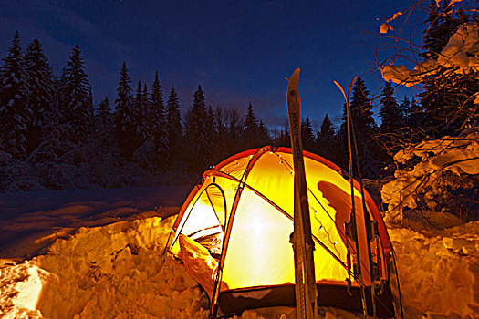 帐蓬,黄昏,冬天,露营,靠近,西冰川,蒙大拿,美国