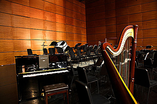 重庆大剧院演艺厅上海爱乐乐团演奏用的乐器