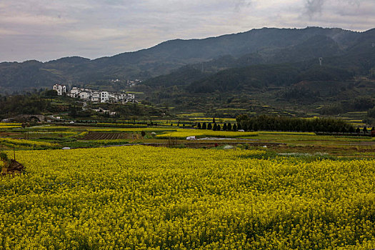 呈坎,安徽,古村落,旅游,景点,水乡,住宅,房子,小桥,拱桥,春天,居民,原生态