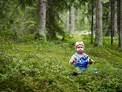 小孩,树林,瑞典