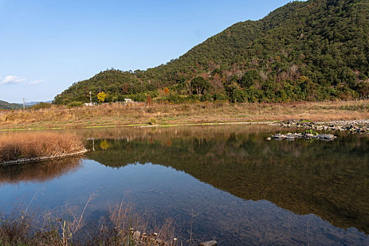 小芝红杉林,小芝红树林