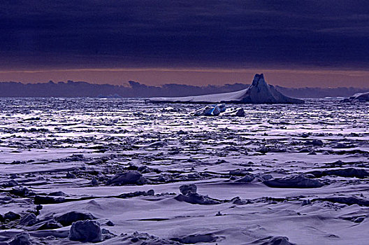 南极半岛,靠近,浮冰,冰山