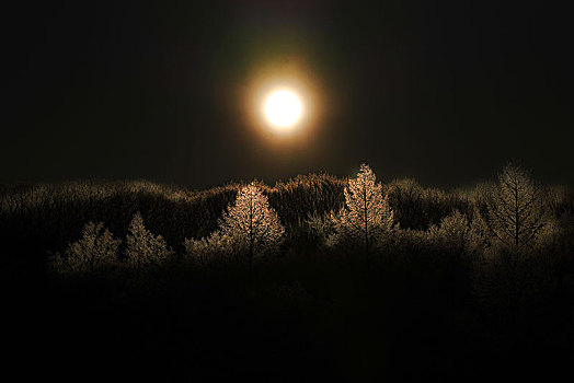 月光,冬天