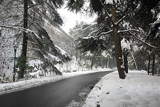 冬季林间雪后风景