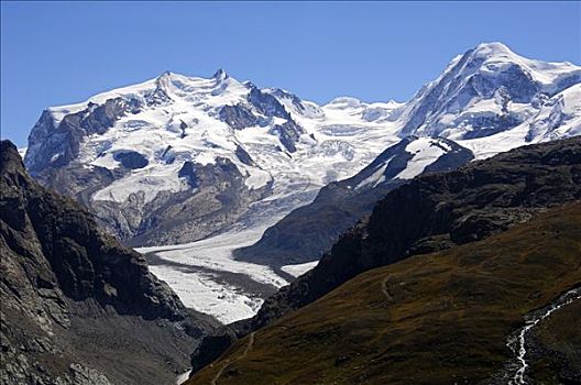 世界,冰河,粉色,山丘,策马特峰,瓦莱,瑞士