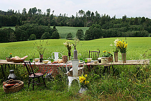 桌子,挪威,夏节