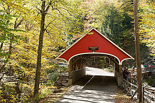 红色,风雨桥,上方,河,弗兰科尼亚山峡州立公园,怀特山,国家森林,新罕布什尔,新英格兰,美国,北美