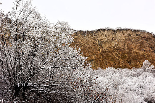 红石公园雪景