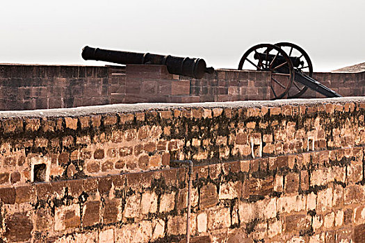 大炮,梅兰加尔堡,拉贾斯坦邦,印度