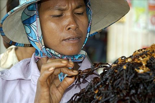 女人,销售,油炸,蜘蛛,城镇,柬埔寨