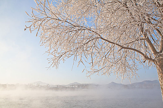 冬天吉林市松花江边的雾凇美景