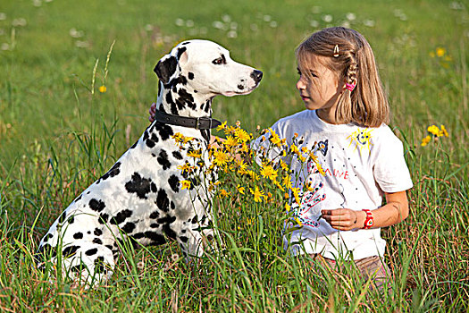 小女孩,斑点狗,草地