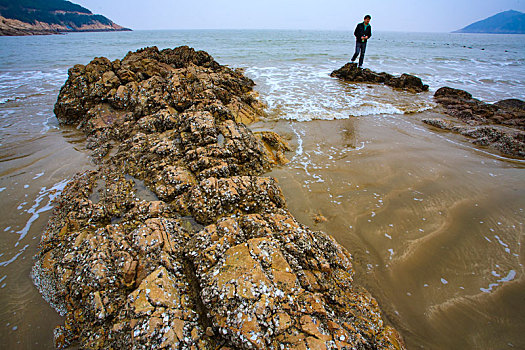 海岸线,沙滩,海洋