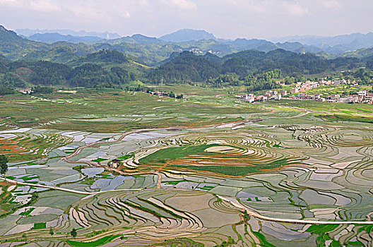 河池