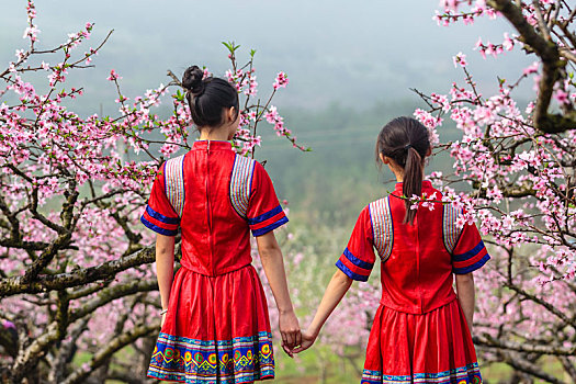 中国连州瑶族少女与桃花