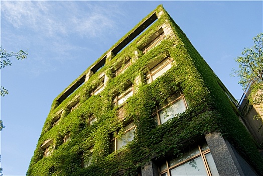 建筑,绿色,植物