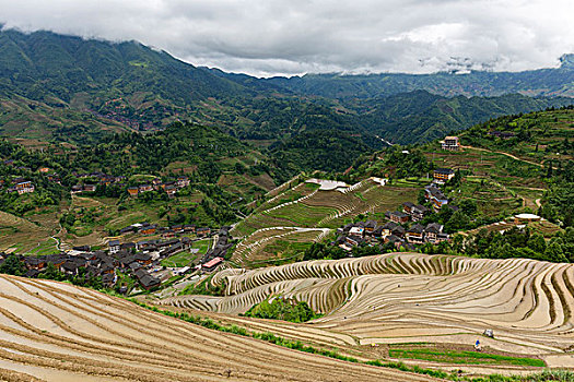 龙脊梯田