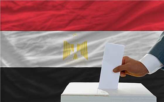 男人,投票,选举,埃及,正面,旗帜
