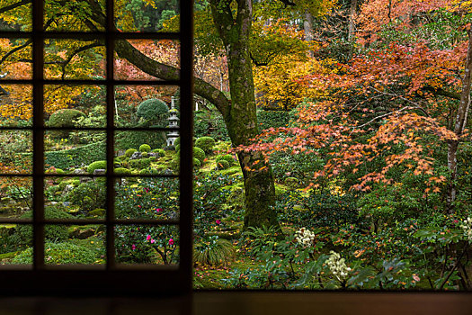 日本,窗户,秋季