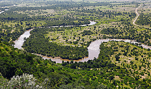 马拉河,俯视,三角形,马赛马拉国家保护区,肯尼亚,非洲