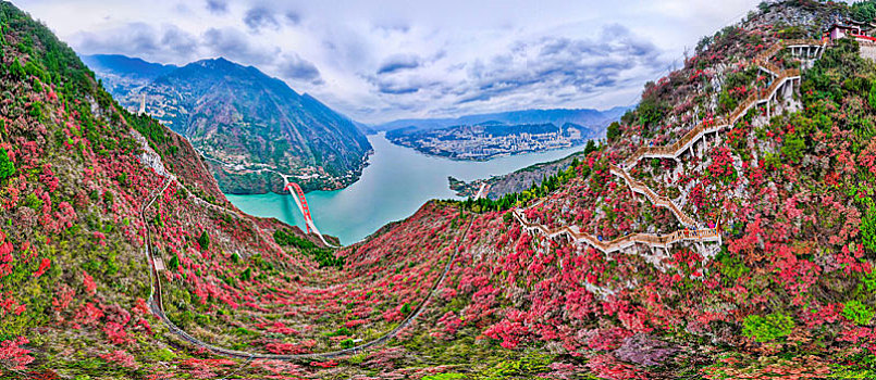 重庆巫山,醉美三峡红叶