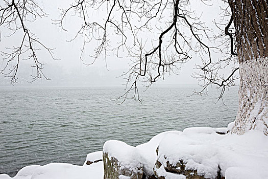 玄武湖雪景