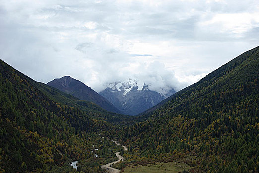 西藏东谷盆地牦牛谷