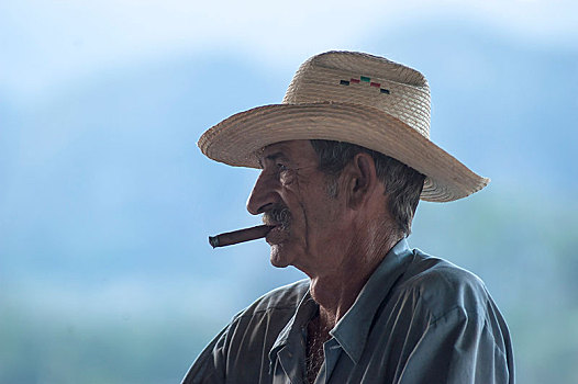男人,吸烟,雪茄,维尼亚雷斯,省,古巴,中美洲