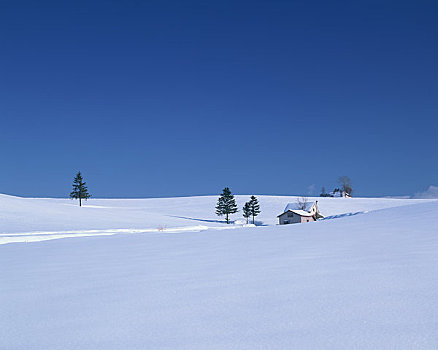 雪原,小屋