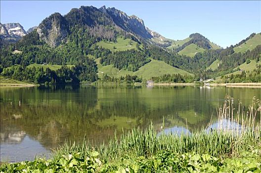 湖,山,阿尔卑斯山,瑞士