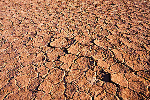 干枯,地面,偏僻地带,北领地州,澳大利亚