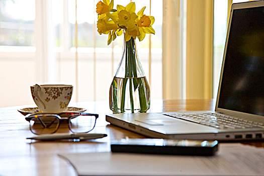 笔记本电脑,花瓶,水仙花,办公室,书桌