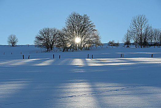 冬季风景,太阳,山,黑森州,德国