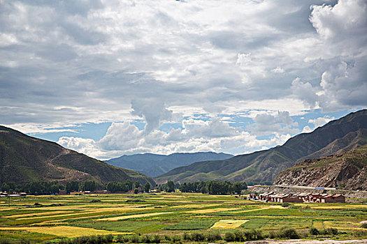 山间田野