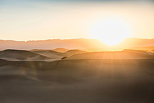 日光,马斯奎特沙丘,死亡谷国家公园,加利福尼亚,美国