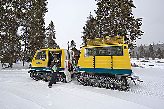 滑雪,溪流,温暖,小屋,黄石国家公园