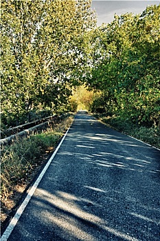 黑杨,道路