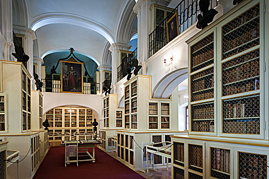 罗马尼亚,特兰西瓦尼亚,图书馆,收藏,上方,稀有,书本