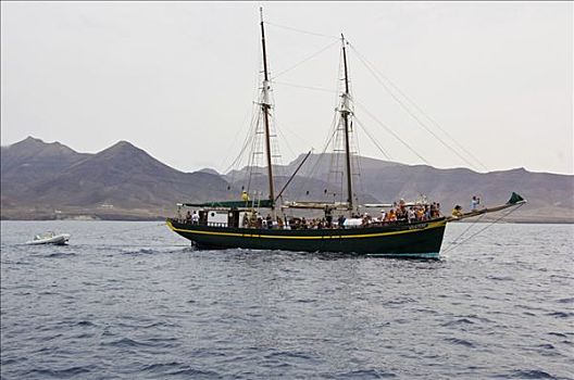 老,纵帆船,海岸线,正面,富埃特文图拉岛,加纳利群岛,西班牙