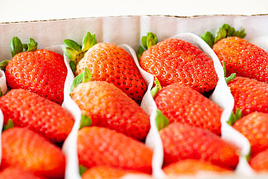 新鲜水果,草莓,特写