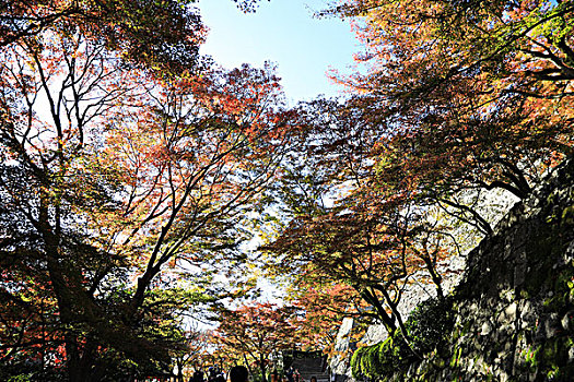 京都