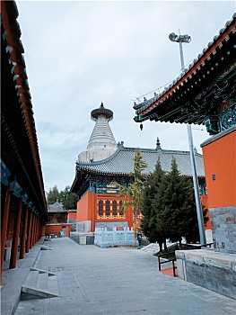 北京妙应寺白塔寺