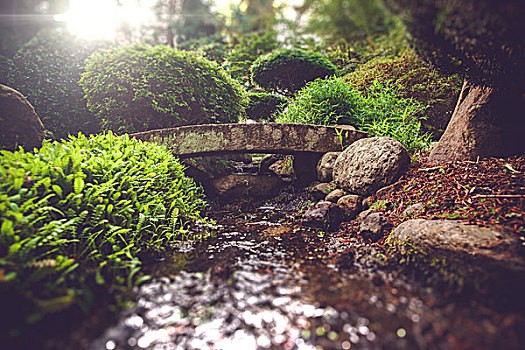 石桥,灵性,花园,日本
