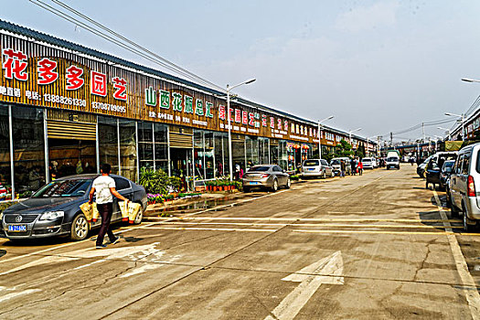 昆明斗南盆景市场