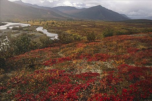 秋叶,北极,苔原,山谷,国家公园,阿拉斯加,河,山峦