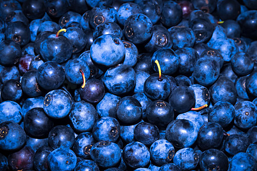 新鲜,蓝莓