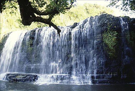 关岛,瀑布,溢出,水池,围绕,树